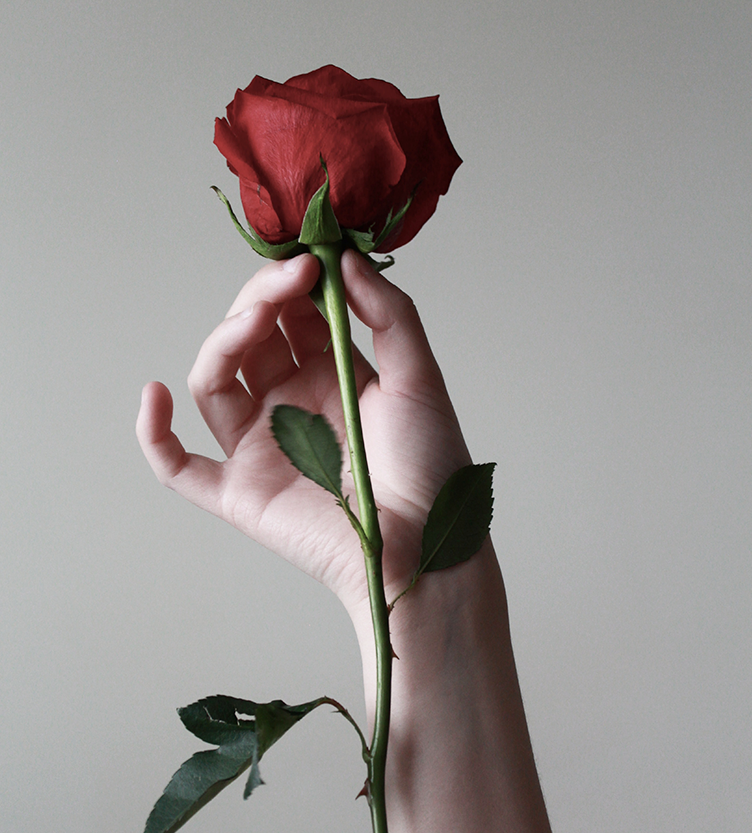 3+ TV - Der Bachelor