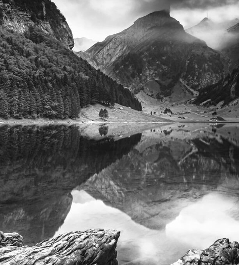 WOHLWEND NÄSCHER SCHÄCHLE