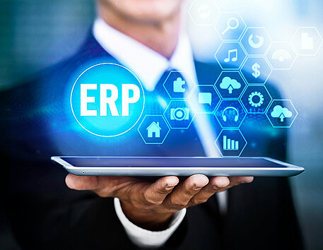 Custom ERP Systems